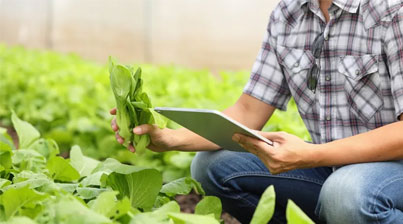 Best agriculture investments